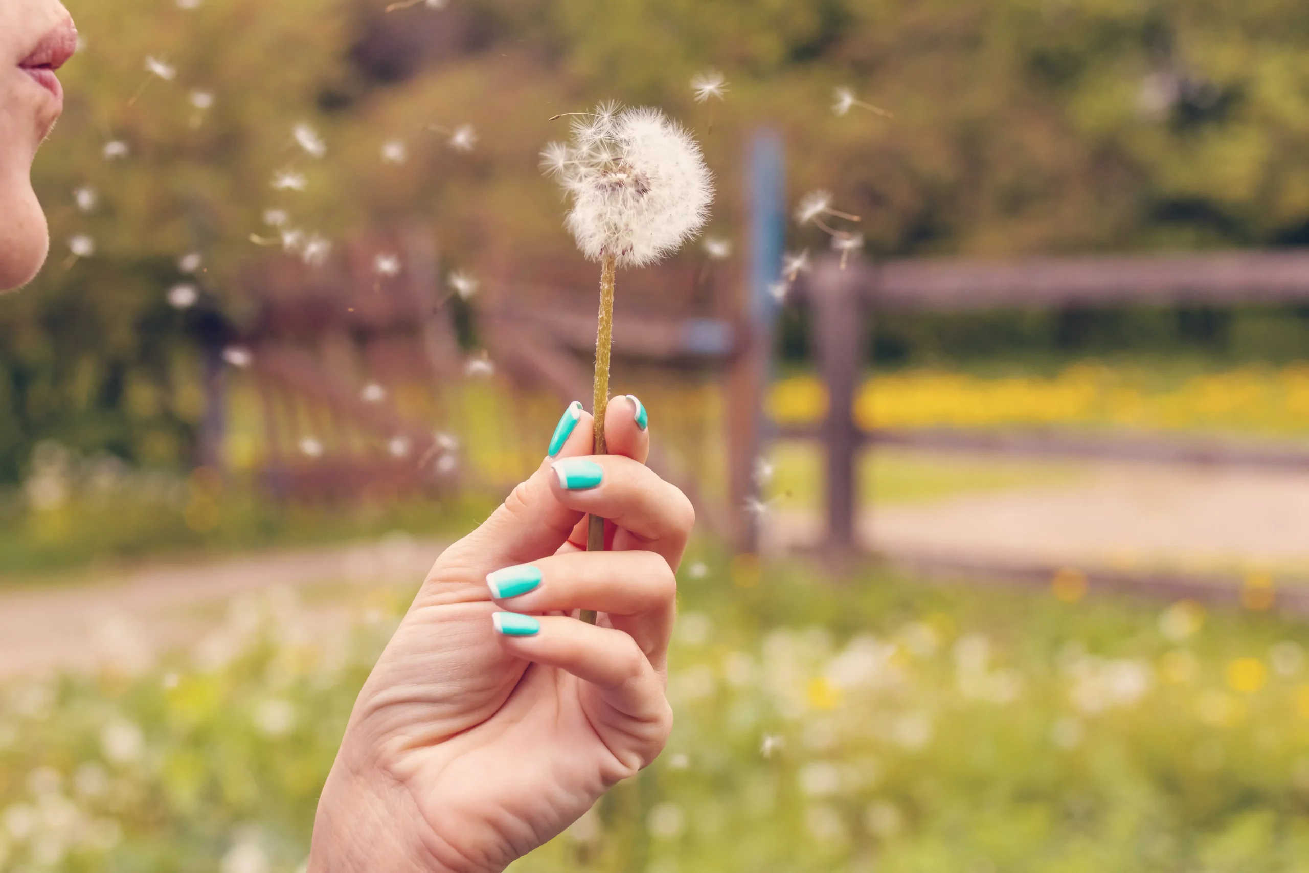 La résolution émotionnelle réactive votre force de résilience naturelle